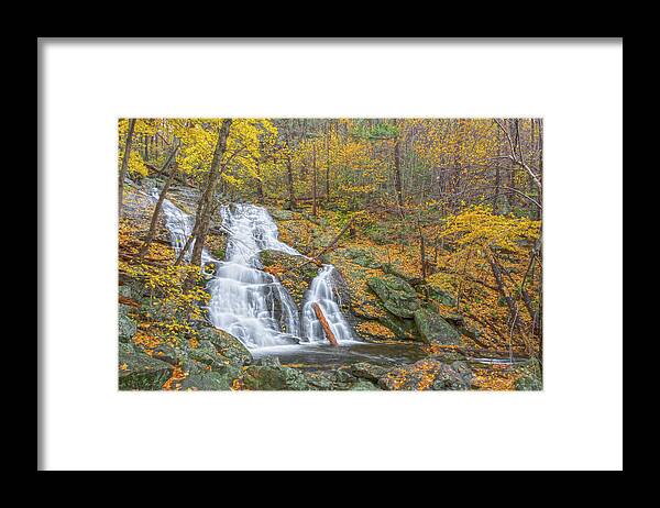 Autumn Framed Print featuring the photograph Autumn Cascade Of Gold by Angelo Marcialis