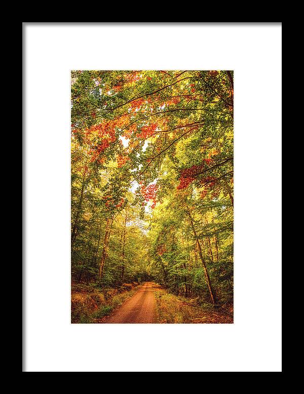 Autumn Framed Print featuring the photograph Autumn Colorful Path by Philippe Sainte-Laudy