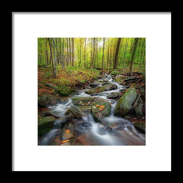Square Framed Print featuring the photograph Autumn Falling 2 square by Bill Wakeley