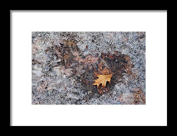 Photography Framed Print featuring the photograph Autumn Freezing Over by Larry Ricker
