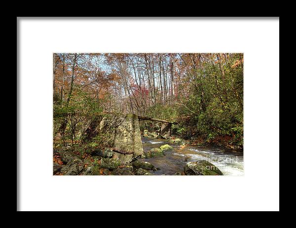 Stream Framed Print featuring the photograph Autumn Gathering by Mike Eingle