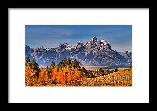 Grand Teton Framed Print featuring the photograph Autumn Gold In The Tetons by Adam Jewell