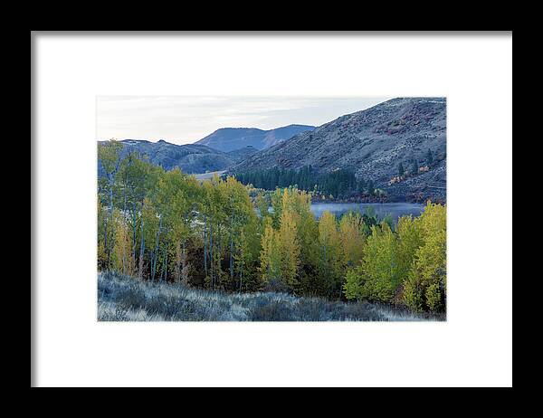 Best Of The Northwest Framed Print featuring the photograph Autumn Hillside by Greg Waddell