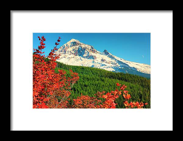 Autumn Framed Print featuring the photograph Autumn In Lolo Pass Mt. Hood National Forest by Dee Browning