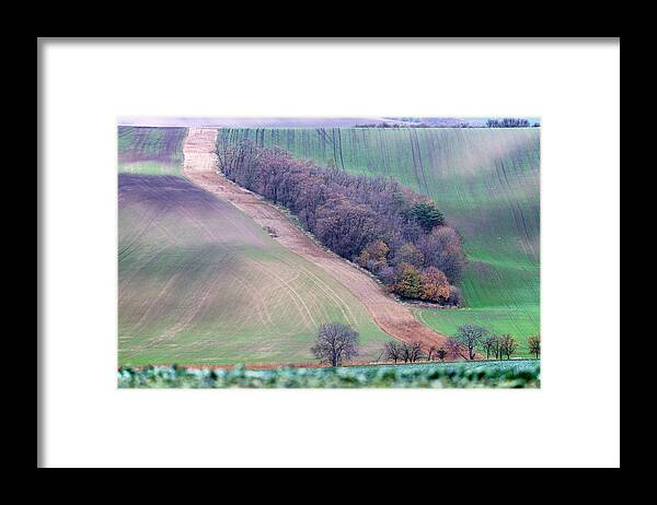 South Framed Print featuring the photograph Autumn in South Moravia 10 by Dubi Roman