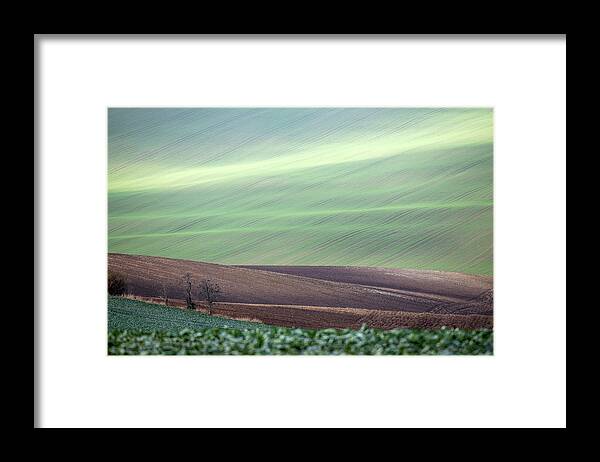  Framed Print featuring the photograph Autumn in South Moravia 5 by Dubi Roman