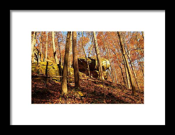 Autumn Framed Print featuring the photograph Autumn in the Indiana Woods by Stacie Siemsen