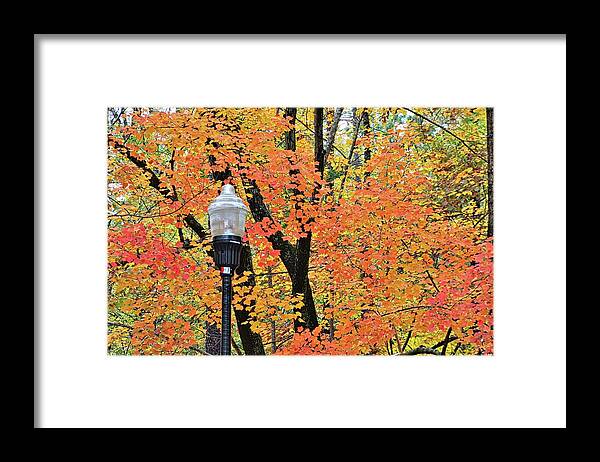 Autumn Light Framed Print featuring the photograph Autumn Light by Lisa Wooten