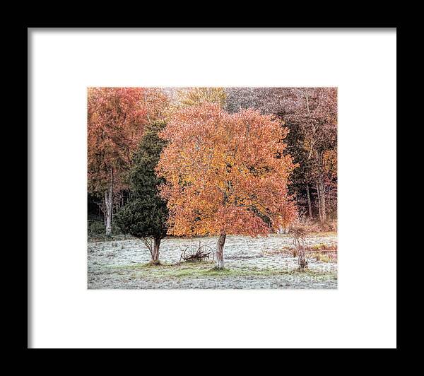 Autumn Framed Print featuring the photograph Autumn on the Farm MA by Janice Drew