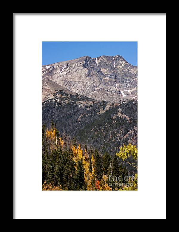 Trail Ridge Road Framed Print featuring the photograph Autumn on Trail Ridge Road by Steven Krull