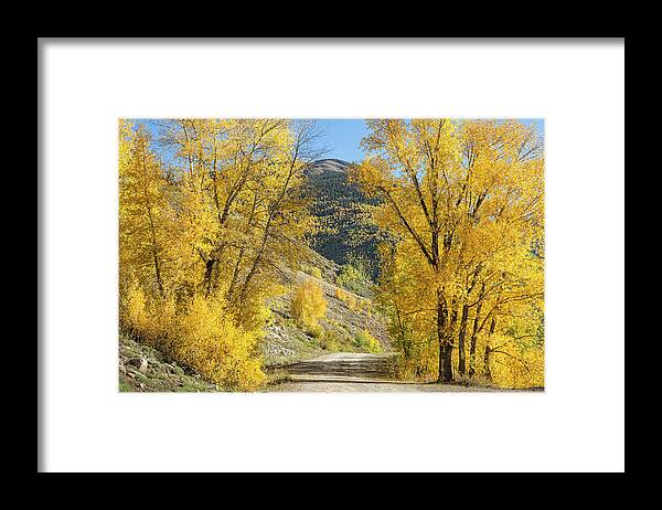 Colorado Framed Print featuring the photograph Autumn Passage by Denise Bush