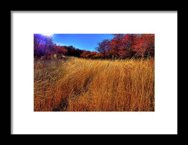 Autumn Path Framed Print featuring the photograph Autumn Path by David Patterson