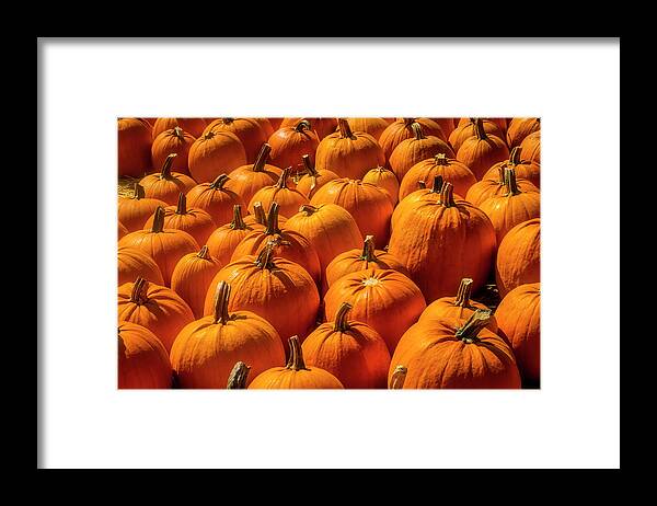 Pumpkins Framed Print featuring the photograph Autumn Pumpkin Field by Garry Gay