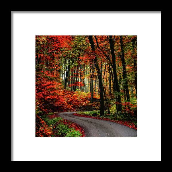 Autumn Framed Print featuring the photograph Autumn Road by Philippe Sainte-Laudy