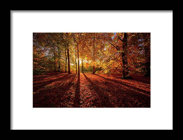 Tranquility Framed Print featuring the photograph Autumn Shadows by Image By Owen Lloyd Owenlloydphotography.com