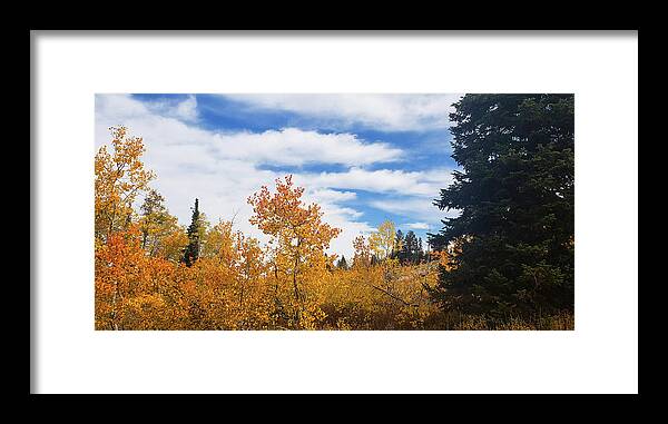 October 2018 Framed Print featuring the photograph Autumn Skies by Synda Whipple