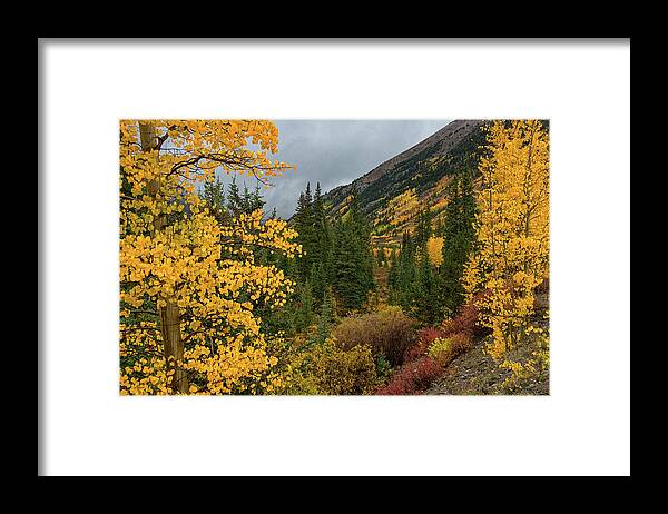 Landscape Framed Print featuring the photograph Autumn Splendor by Darlene Bushue