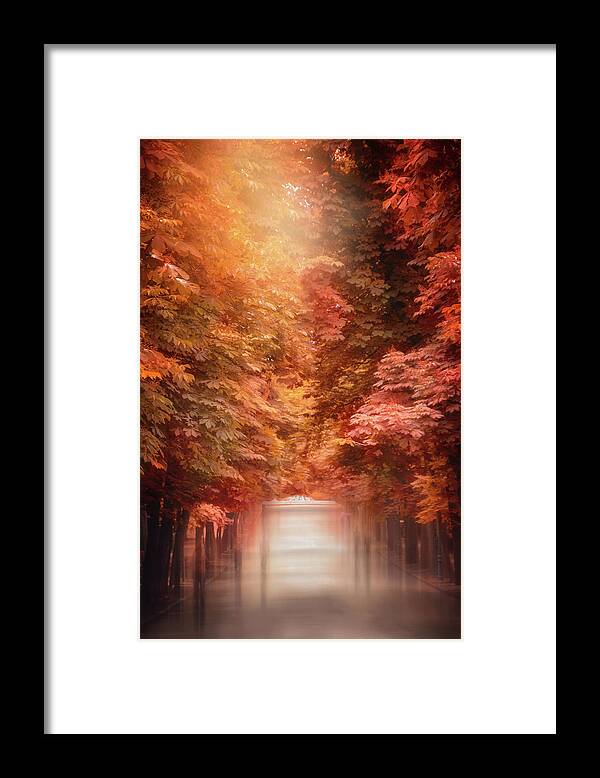 Madrid Framed Print featuring the photograph Autumn Stroll Retiro Park Madrid by Carol Japp