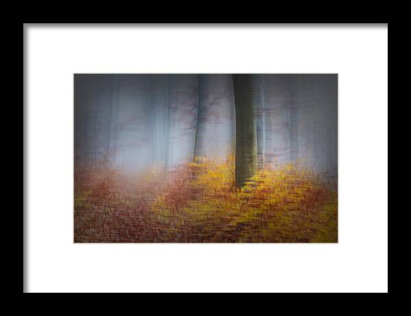 Double Framed Print featuring the photograph Autumn Time by Burger Jochen