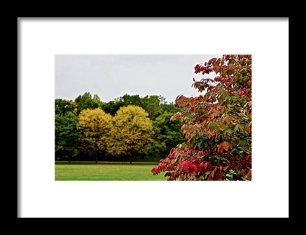 Autumn Framed Print featuring the photograph Autumn Tree Heart by Kathy Ozzard Chism