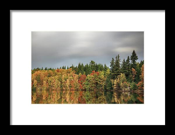Autumn Framed Print featuring the photograph Autumn Tree Reflections by Grant Glendinning