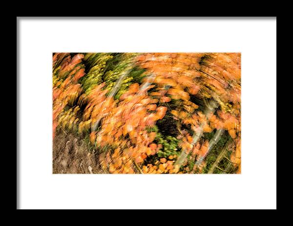 Abstract Framed Print featuring the photograph Autumn Vortex by Denise Bush