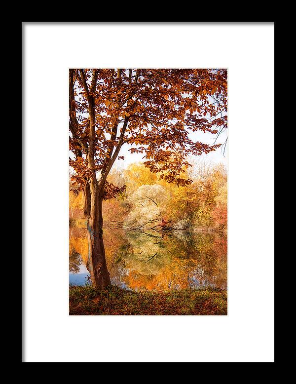 Trees Framed Print featuring the photograph Autumnal Frame by Philippe Sainte-Laudy
