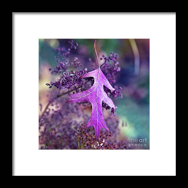 Autumnal Framed Print featuring the photograph Autumnal Ultra Violet Sound by Silva Wischeropp