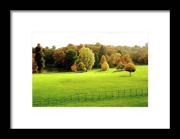 Grass Framed Print featuring the photograph AutumnÃ¡colours On Hampstead Heath by Oliver Strewe