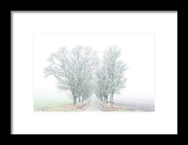 Avenue Of Maple Trees Framed Print featuring the photograph Avenue of maple trees in fog by Torbjorn Swenelius