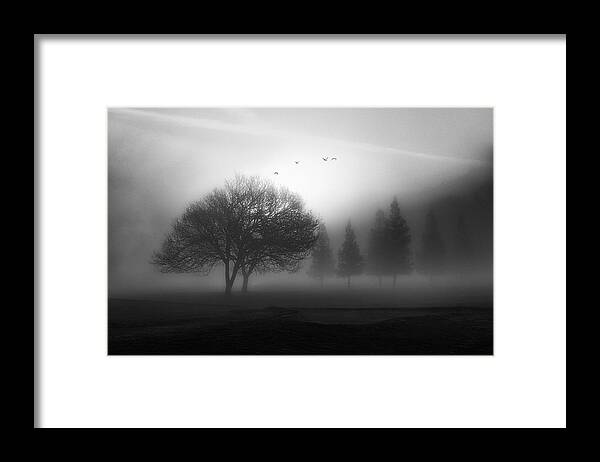 Fog Framed Print featuring the photograph Awakening by Aidong Ning