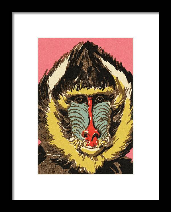 Africa Framed Print featuring the drawing Baboon by CSA Images