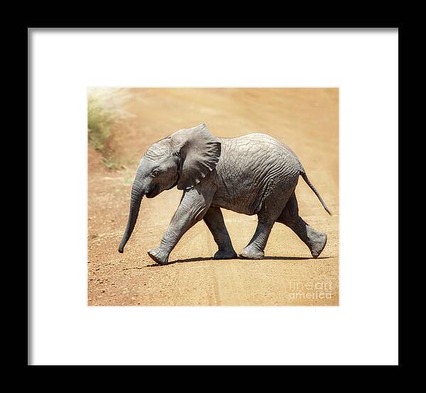 Baby Framed Print featuring the photograph Baby African elephant by Jane Rix