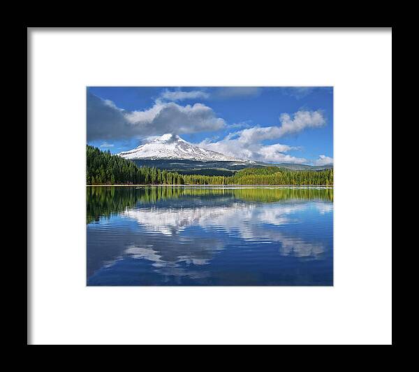 Midday Framed Print featuring the photograph Baby Blues by Darren White Photography