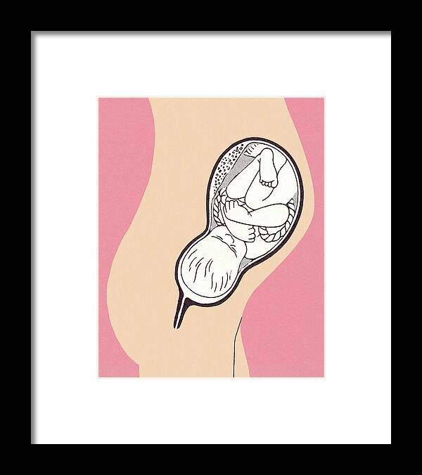 Anatomical Framed Print featuring the drawing Baby in Womb by CSA Images