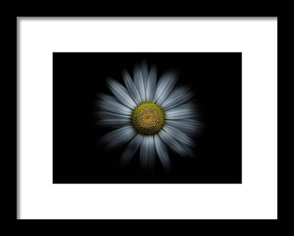 Abstract Framed Print featuring the photograph Backyard Flowers 31 Color Flow Version by Brian Carson