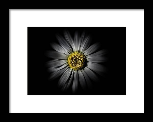 Abstract Framed Print featuring the photograph Backyard Flowers 52 Color Flow Version by Brian Carson