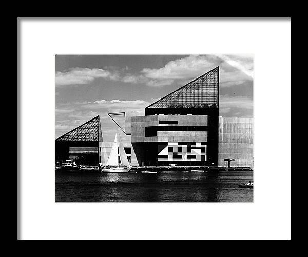Following Framed Print featuring the photograph Baltimore Aquarium by Afro Newspaper/gado