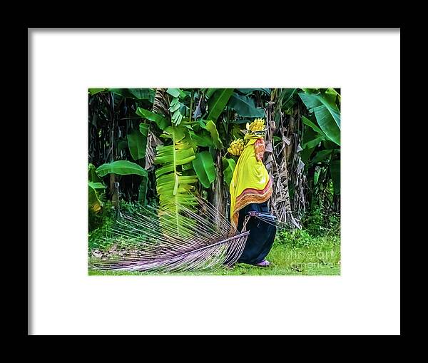 Banana Framed Print featuring the photograph Banana harvest, Zanzibar, Tanzania by Lyl Dil Creations