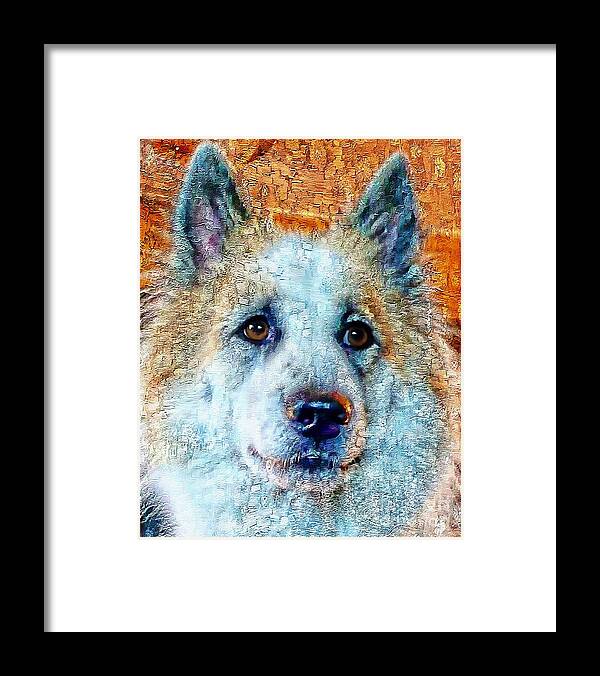 Bangkaew Framed Print featuring the painting Bangkaew Thai Dog Portrait Painting by Ian Gledhill