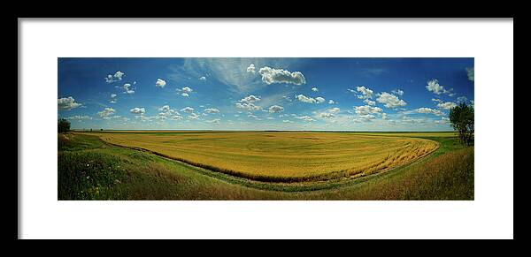 Tranquility Framed Print featuring the photograph Barley Field by Northern Pike