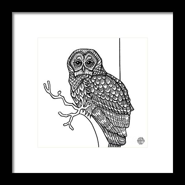 Animal Portrait Framed Print featuring the drawing Barred Owl by Amy E Fraser