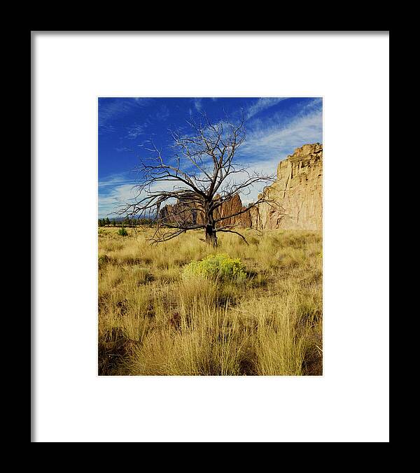 Smith Framed Print featuring the photograph Barren Tree at Smith Rock by Todd Kreuter