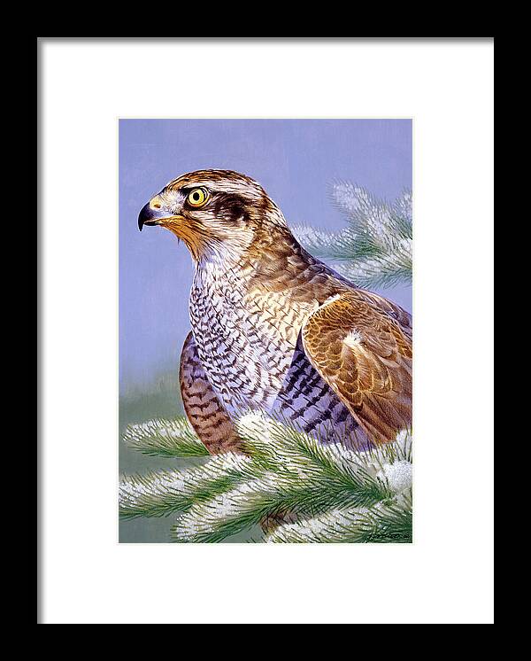 Hawk Framed Print featuring the painting Basking by Joh Naito