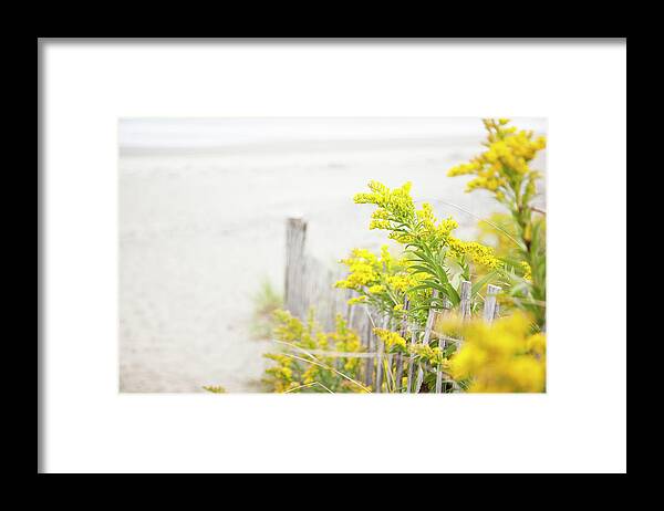 Scenics Framed Print featuring the photograph Beach Fence With Yellow Flowers by Jacqueline Veissid