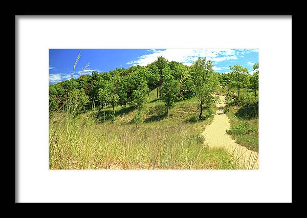 Sand Framed Print featuring the photograph Beach Trail by Scott Kingery