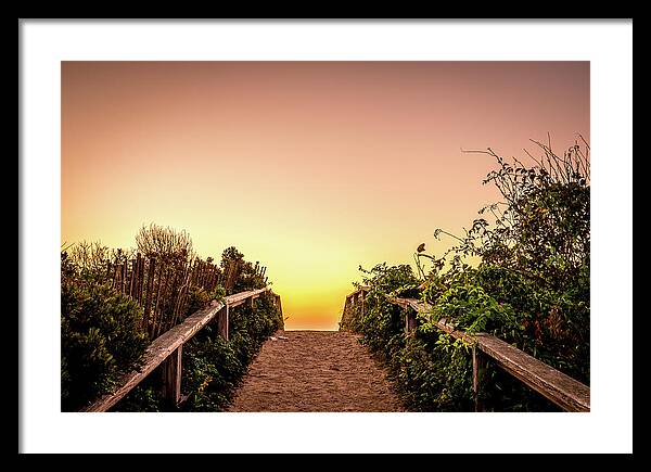 Beach Life Framed Print featuring the photograph Path Over The Dunes At Sunrise. by Jeff Sinon