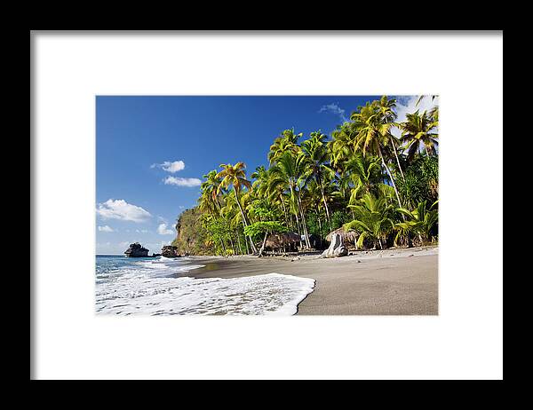 Estock Framed Print featuring the digital art Beach With Palm Trees by Danielle Devaux