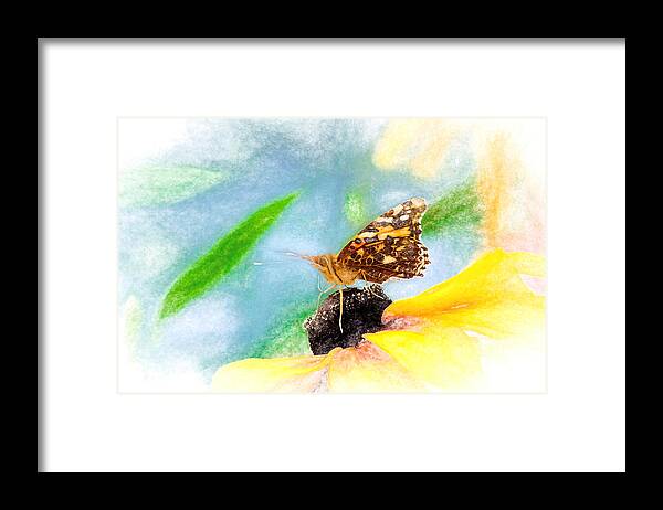 Cosmopolitan Framed Print featuring the photograph Beautiful Painted Lady Butterfly by Don Northup