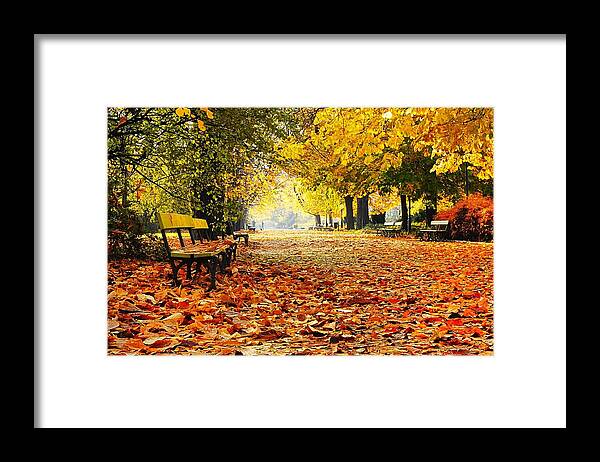 Outdoors Framed Print featuring the photograph Beautiful Street by 4eye
